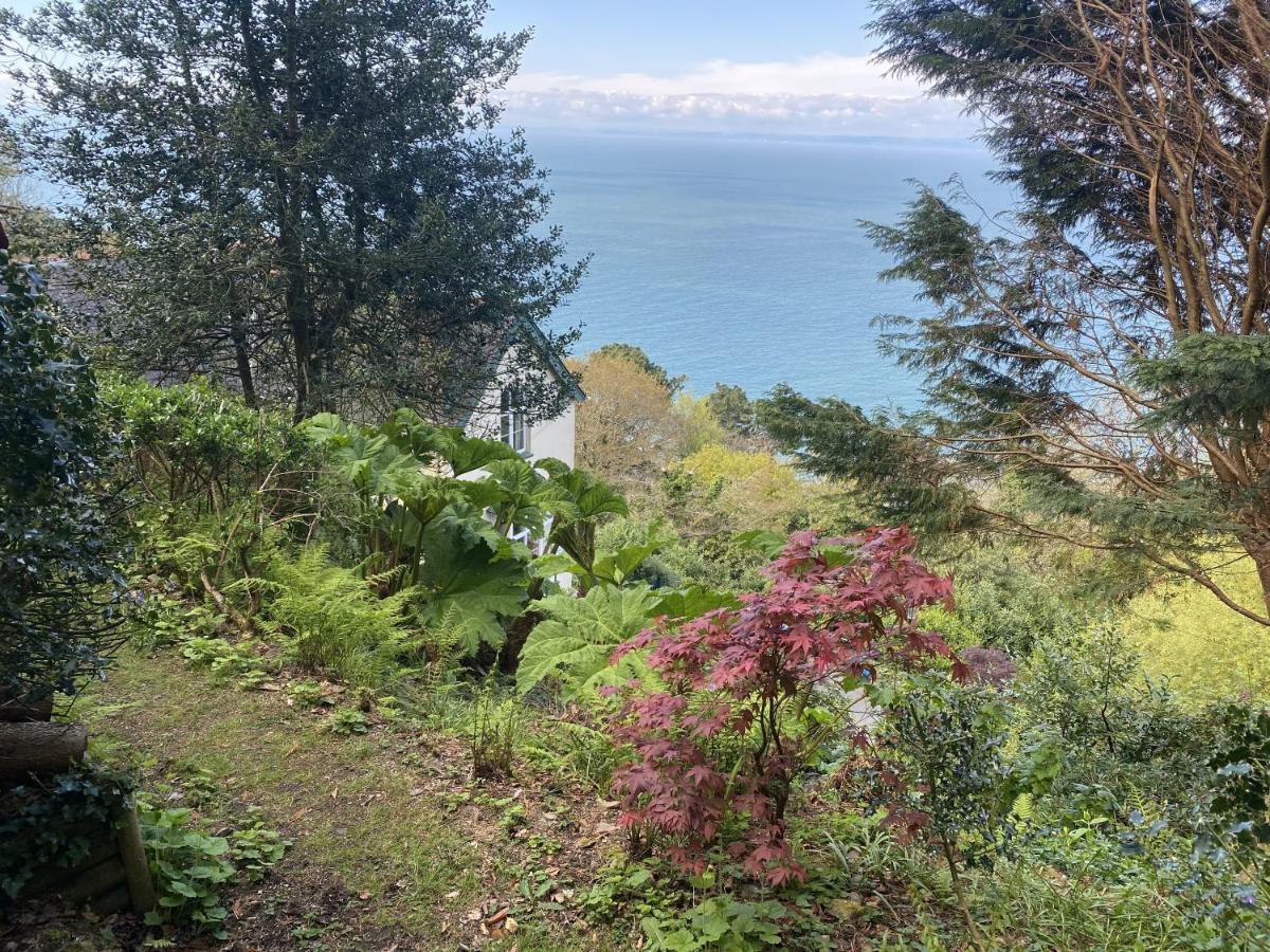 North Walk House Bed & Breakfast Lynton Dış mekan fotoğraf