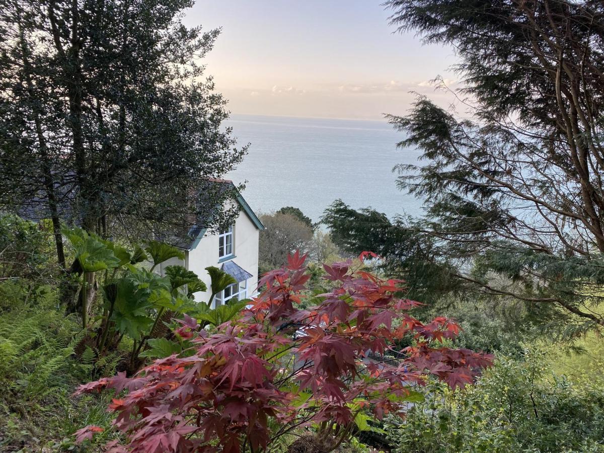North Walk House Bed & Breakfast Lynton Dış mekan fotoğraf