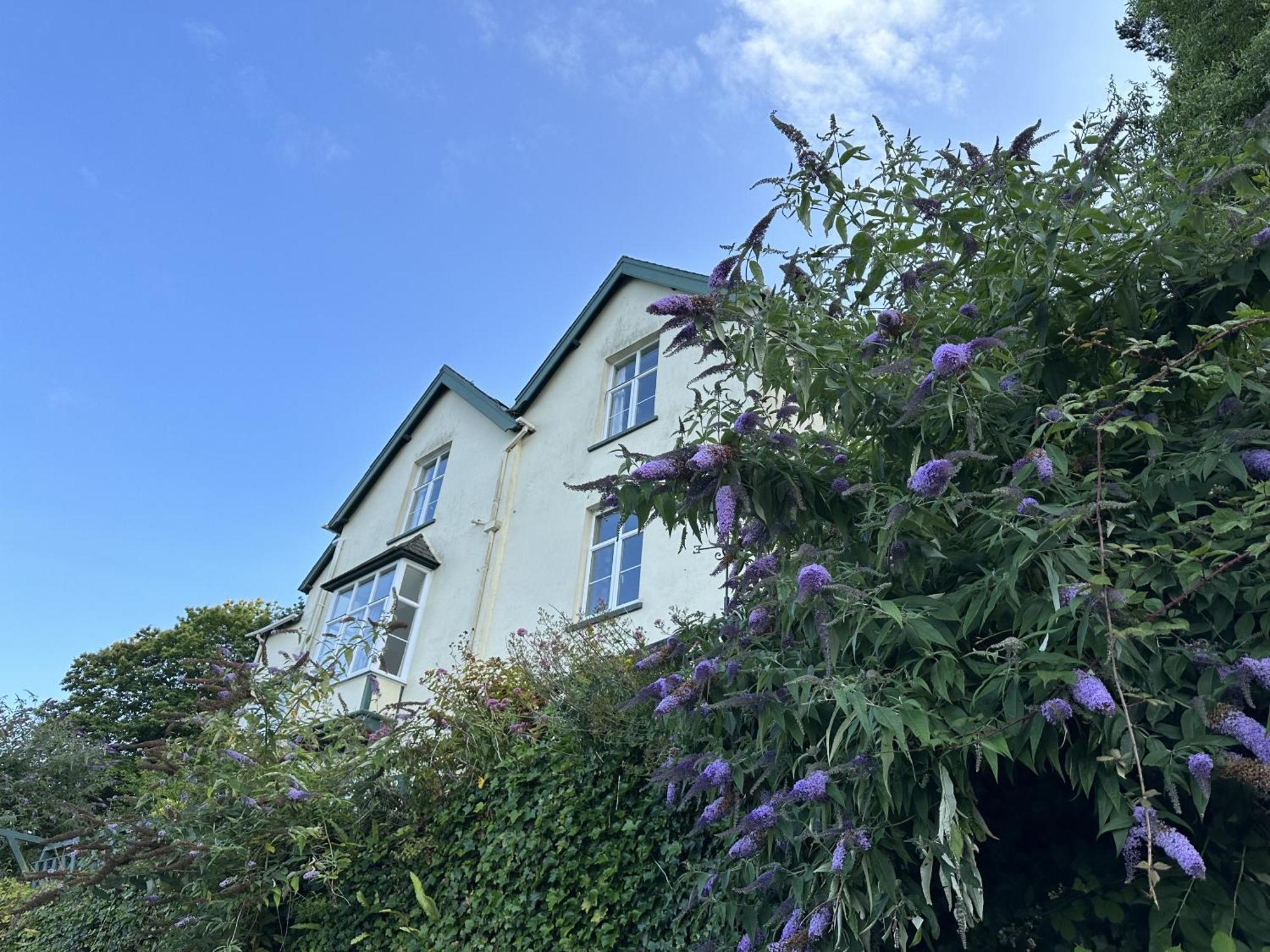 North Walk House Bed & Breakfast Lynton Dış mekan fotoğraf